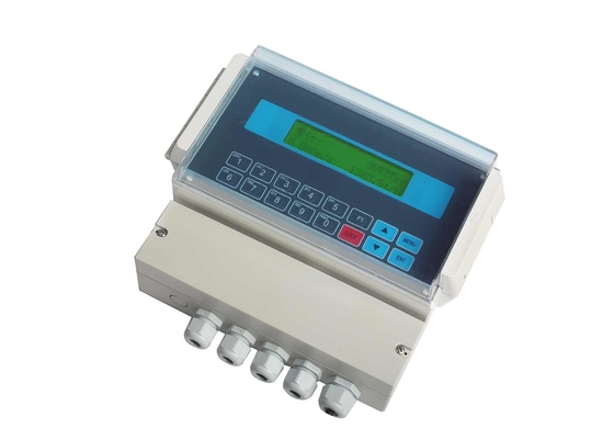 Regulador de la escala de la correa del montaje en la pared del LCD para el ambiente corrosivo del gas